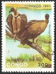 Stamps Republic of the Congo -  Necrosyrtes monachus