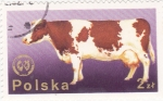 Stamps Poland -  vaca