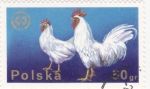 Sellos de Europa - Polonia -  gallinas