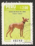 Stamps Peru -  Perro sin pelo del Perú, canis nudus