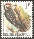 Stamps Belgium -  kleine bonte specht-Pájaro carpintero