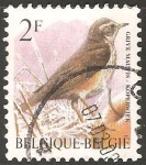 Stamps Belgium -  Koperwiek