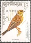 Stamps : Europe : Bulgaria :  Emberiza citrinella-escribano cerillo
