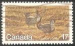 Stamps Canada -  Tympanuchus cupido-Gallo de las praderas 