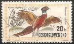 Sellos de Europa - Checoslovaquia -  Phasianus colchicus-faisán común
