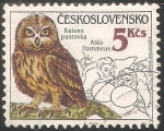 Stamps : Europe : Czechoslovakia :  Asio flammeus-búho campestre,