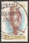 Stamps Chile -  glaucidium nanum