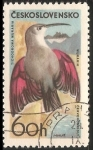 Stamps : Europe : Czechoslovakia :  tichodroma muraria