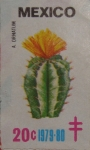 Sellos de America - Mxico -  A. ornatum