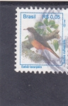 Stamps Brazil -  ave- turdus rufiventris