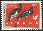 Stamps : Africa : Republic_of_the_Congo :  Cigognes a ventre blanc-Cigüeña de Vientre Blanco