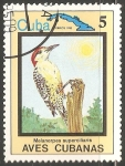Sellos de America - Cuba -  Aves cubanas-melanerpes superciliaris