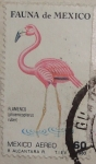 Stamps : America : Mexico :  flamenco (phoenicopterus ruber)