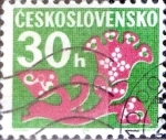 Sellos de Europa - Checoslovaquia -  Intercambio 0,20 usd 30 h. 1971
