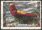 Sellos de Asia - Emiratos �rabes Unidos -  Aves