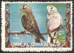 Sellos de Asia - Emiratos �rabes Unidos -  Aves