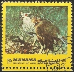 Stamps United Arab Emirates -  Aves de Manama (Ajman)