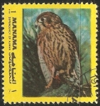 Stamps United Arab Emirates -  Aves de Manama (Ajman)
