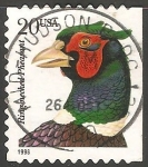 Stamps United States -  Ring necked pheasant-Faisão-comum