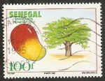 Sellos de Africa - Senegal -  Árbol y su fruto