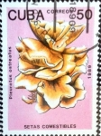 Stamps Cuba -  Intercambio 0,50 usd 50 cent. 1989