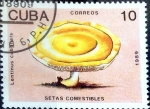 Sellos de America - Cuba -  Intercambio nfxb 0,20 usd 10 cent. 1989