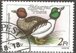 Stamps Hungary -  Bucephala cangula-porrón osculado