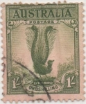 Stamps : Oceania : Australia :  Y & T Nº 88