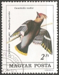 Stamps Hungary -  Bombycilla garrulus-