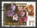 Stamps Romania -  Flor de Rumania, y oso marrón