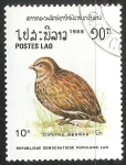 Stamps Laos -  Coturnix japonica-Codorniz japonesa 