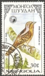 Stamps : Asia : Mongolia :  jynx torquilla 