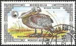 Stamps Mongolia -  Pelacanus onocrotalus- pelícano común 