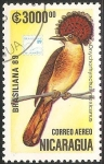 Stamps Nicaragua -  onyChorhynchus mexicanus