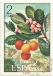 Stamps Spain -  FLORA HISPÁNICA, Ier GRUPO. MADROÑO. Arbutus unedo. EDIFIL 2086