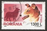 Stamps Romania -  Perro de raza, Collie