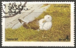 Stamps Oman -  Common gull-Gaviota común