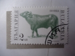 Stamps Bulgaria -  Fauna: Búfalo (Yvert/Bulgaria:3448)