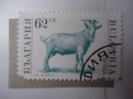 Stamps Bulgaria -  Fauna: Cabra.