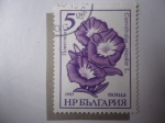 Stamps Bulgaria -  Flora: Serie Básica de Flores - Lilium (Yvert/3025)