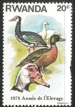 Stamps Rwanda -  1978 annee de elevage