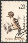 Stamps : Europe : Romania :  Upupa epops