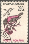 Stamps Romania -  Sturnus roseus- estornino rosado