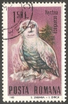 Stamps Romania -  Nyctea scandiaca-Búhos nevados