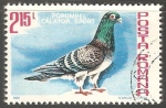 Stamps : Europe : Romania :  Porumbel calator sport-Paloma