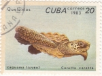 Stamps Cuba -  tortuga