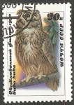Stamps Russia -  Bubo bubo-Bufo-real