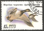 Stamps Russia -  Aythya marila-porrón bastardo