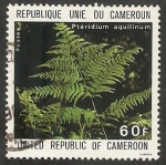 Stamps Cameroon -  Planta medicinal, pteridium aquilinum