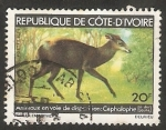 Stamps : Africa : Ivory_Coast :  Cefalofo, animal en vías de desaparición